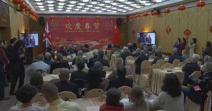 Chinese New Year ignites global celebrations