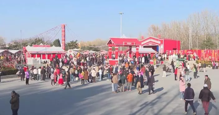 Park activities drive consumption of 7 bln yuan during Spring Festival holiday