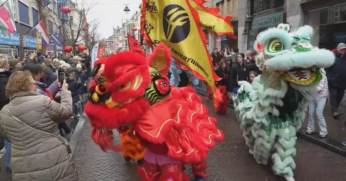 Netherlands, Fiji hold cultural events to celebrate Spring Festival