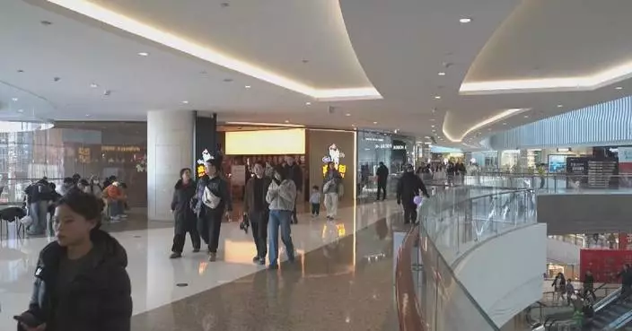 Spring Festival boosts robust consumption in transport, cinemas, retail sales
