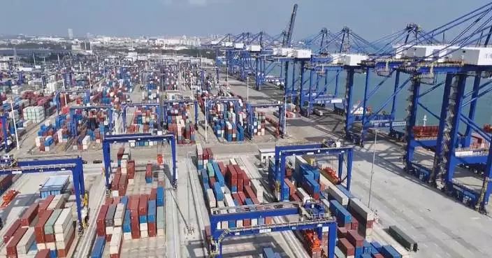 Zero-tariff imports in south China's Hainan reach 48.6 mln yuan during Spring Festival holiday