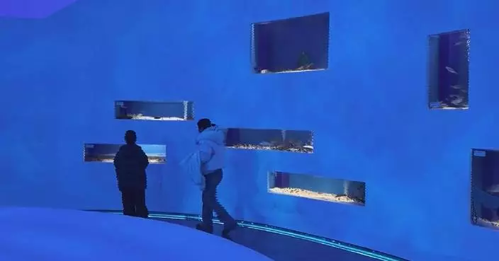 Creative experiences boost service consumption during Spring Festival holiday