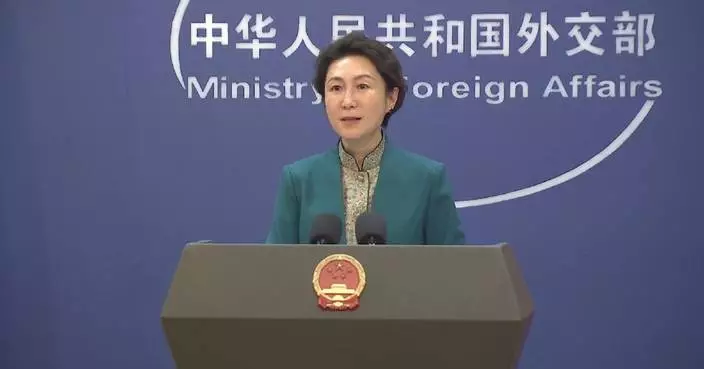 Spring Festival becomes cultural event enjoyed globally: FM spokeswoman