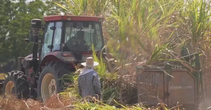 Chinese agri-machinery helps Thai farmers navigate climate challenges, labor shortages
