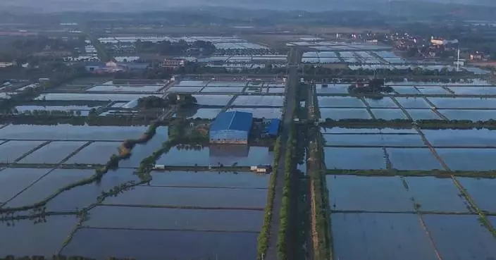 Chinese scientists promote eco-farming technique in Cambodia to boost farmer incomes