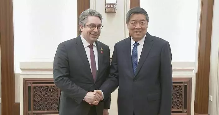 Chinese vice premier welcomes German enterprises to continue investing in China