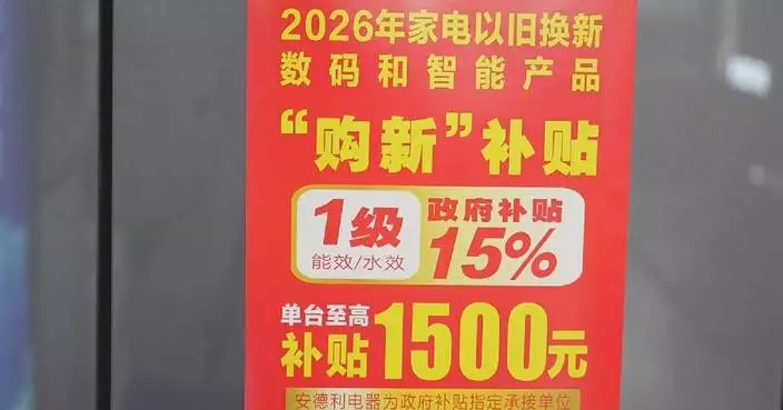 China’s Spring Festival spending boosts home appliance, smart device sales by 21.7 pct