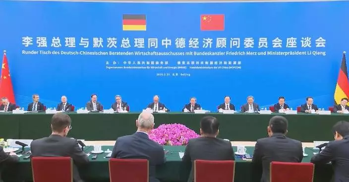 China-Germany cooperation only optimal solution to address risks: Premier Li