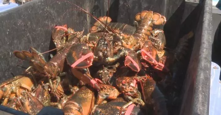 China to suspend additional tariffs on certain imports from Canada