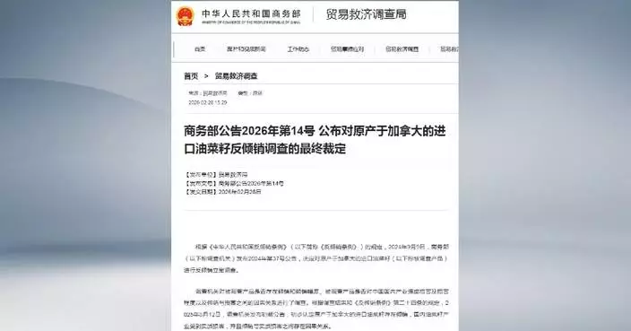 China to impose anti-dumping duties on rapeseed imports originating from Canada