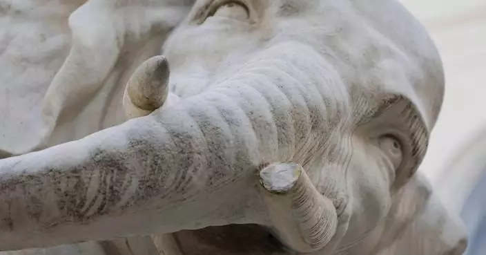 Police investigate how Rome's beloved Bernini elephant sculpture lost the tip of its tusk — again