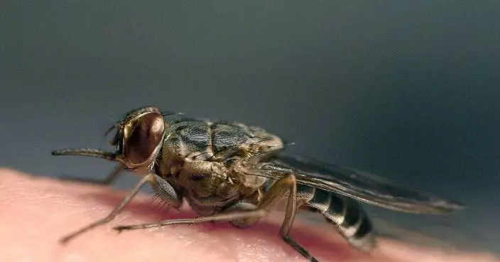 New sleeping sickness pill gets nod, paving the way for use in Africa