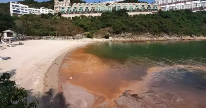 Two Red Tides Detected in Hong Kong Waters, Monitoring Continues for Mariculture Impact