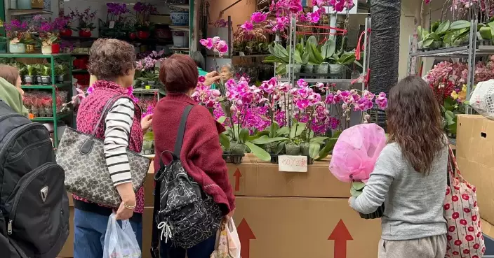 Mong Kok Flower Market is Bustling with Residents Buying Flowers for the Celebration of both the Chinese New Year and Valentine’s Day
