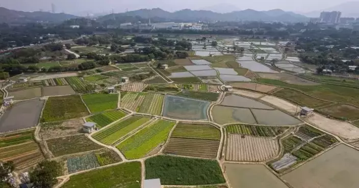 Kwu Tung Playgrounds Closing March 2 for New Development; Alternatives Available in North District