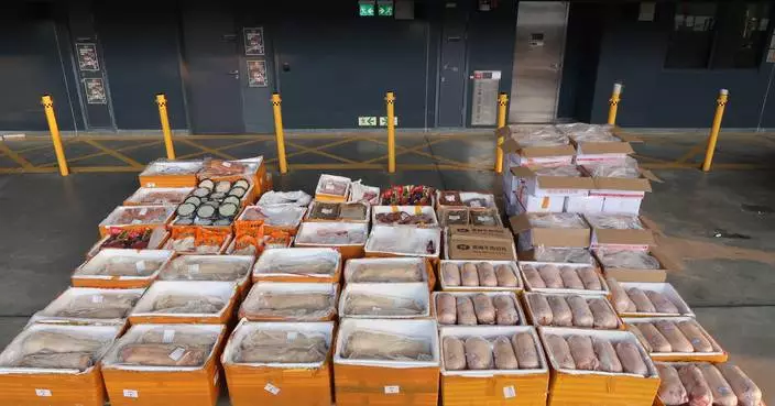 Hong Kong Customs Seizes 4,800 kg of Suspected Smuggled Food, Arrests Four Individuals