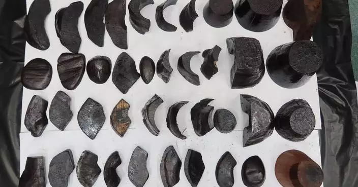 Chinese Man Sentenced to 24 Months for Smuggling Rhino Horns into Hong Kong