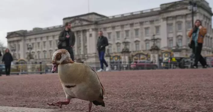 From abdication to Diana, Harry and ex-Prince Andrew. A look at major British royal scandals