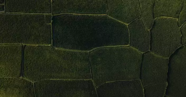 Aspia Space Partners With Stelia to Advance AI Architecture for Global-Scale Land Intelligence