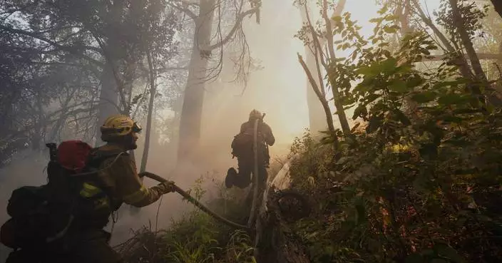Argentina fires ravage pristine Patagonia forests, fueling criticism of Milei’s austerity