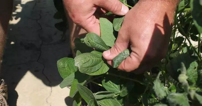 Trump administration approves weed killer dicamba for two common genetically modified crops