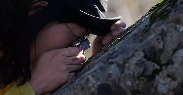 To aficionados, fungi are freaky, mystical and overlooked. They’re helping scientists learn more