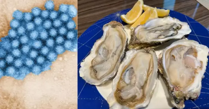 Health Authorities Warn Against Raw Oysters Amid Rising Norovirus Food Poisoning Cases