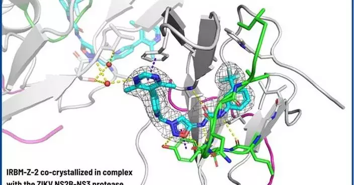 IRBM Reports Breakthrough in Zika Virus Drug Discovery