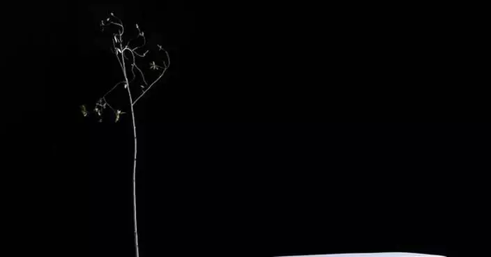 Opening of the Tuwaiq Sculpture 2026 Exhibition Marks Seventh Edition