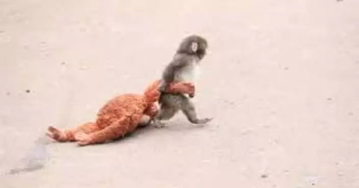 HTX Expands Its Philanthropic Footprint: Connecting Global Kindness Through the "Punch Spirit"