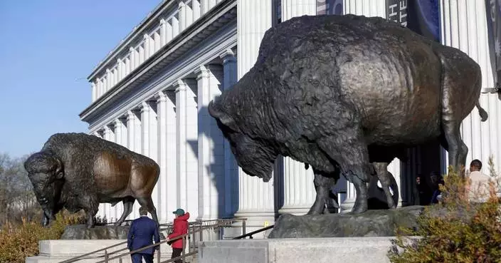 America’s official mammal, the bison, gets a bronze tribute for the country’s 250th birthday