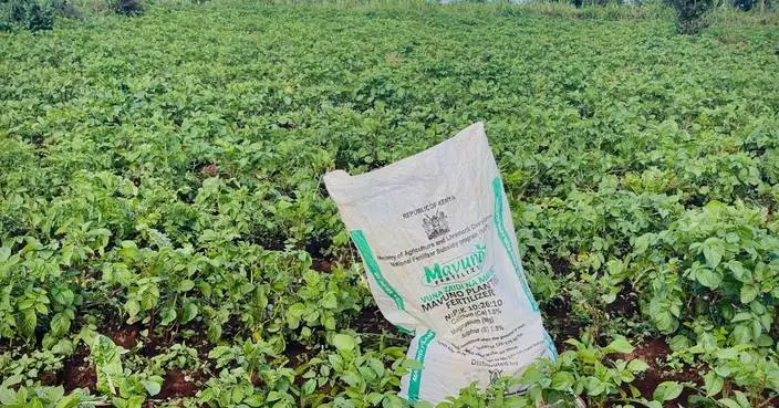 The war in Iran sparks a global fertilizer shortage and threatens food prices