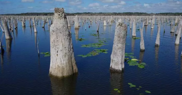 Decades after a Florida canal project was abandoned, advocates are trying to reunite 3 rivers
