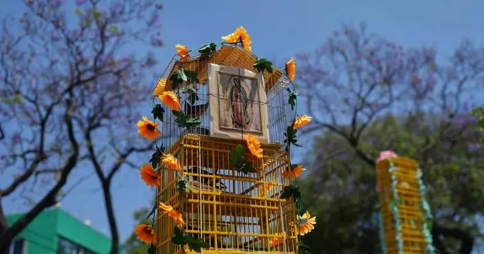 Photos of Mexico's bird vendors making their annual pilgrimage to the Basilica of Guadalupe