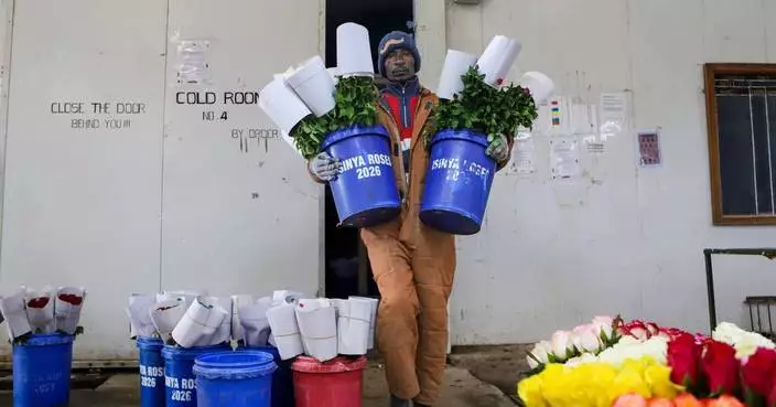 Kenya’s flower industry loses millions of dollars weekly due to the Iran war