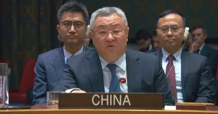 China calls for immediate stop of military actions: envoy