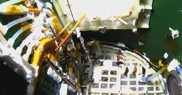 Chinese space experiment sees butterfly emerge from in orbit