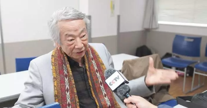 Japanese scholar voices concern over constitutional revision moves