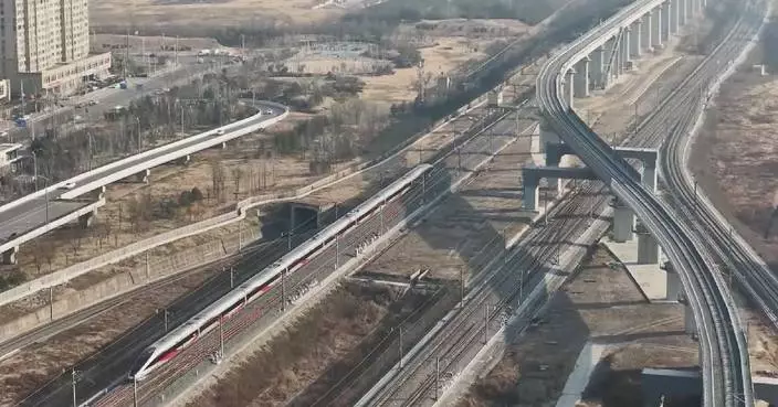 China's railway system handles over 400 mln passenger trips by Spring Festival rush Day 30
