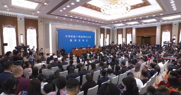 Integrated development in Greater Bay Area remarkable: spokesman