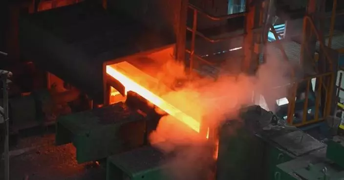 China’s bulk commodity price index up 10.9 pct y-o-y in Feb