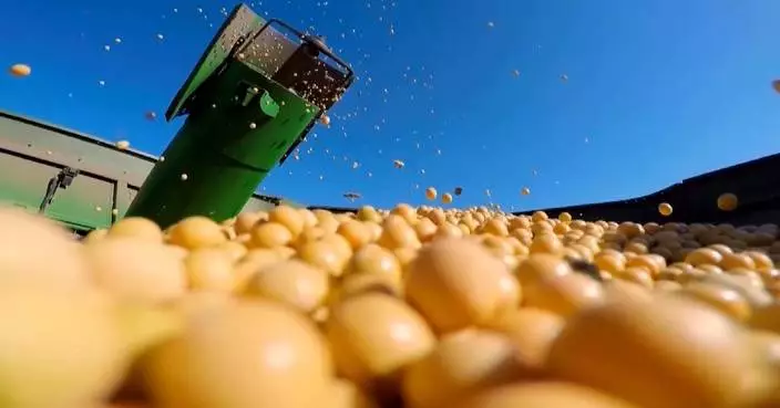 China to advance all-around rural revitalization: report