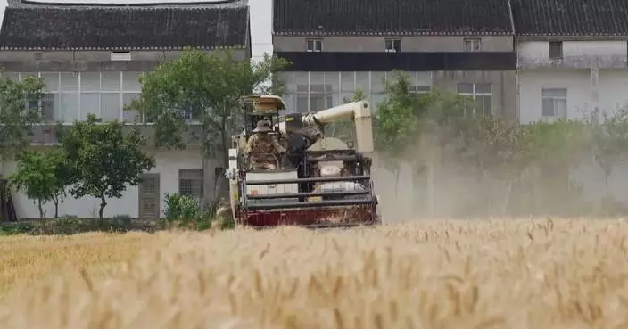NPC deputy vows to fortify China’s food security through seed innovation