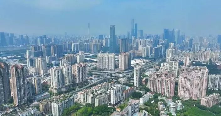 China's inter-provincial trade records rapid development in 2025