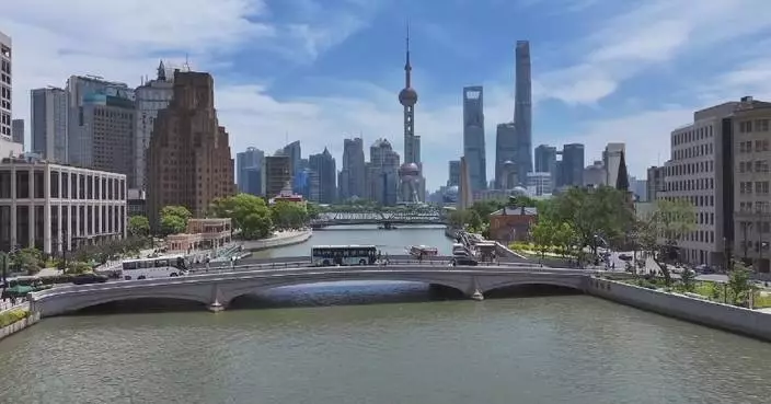 China sees remarkable development achievements in past five years: official