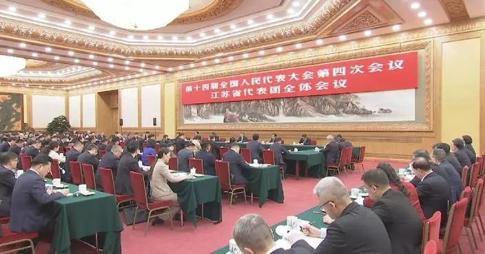 Xi takes part in deliberation at annual national legislative session
