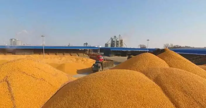 New grain production capacity target to strengthen China's food security: expert