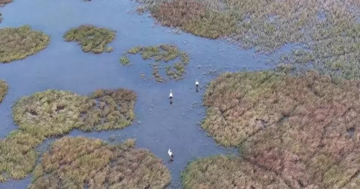 China to strengthen technological support for ecosystem protection