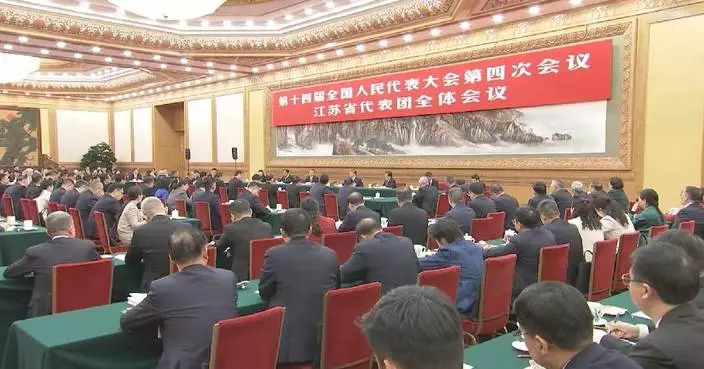 NPC deputies from Jiangsu vow to make greater contributions in national development