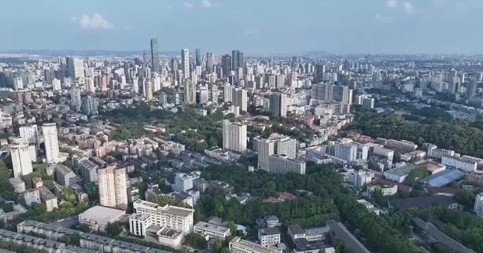 NPC deputy emphasizes long-term, systematic impact of institutional opening-up strategies